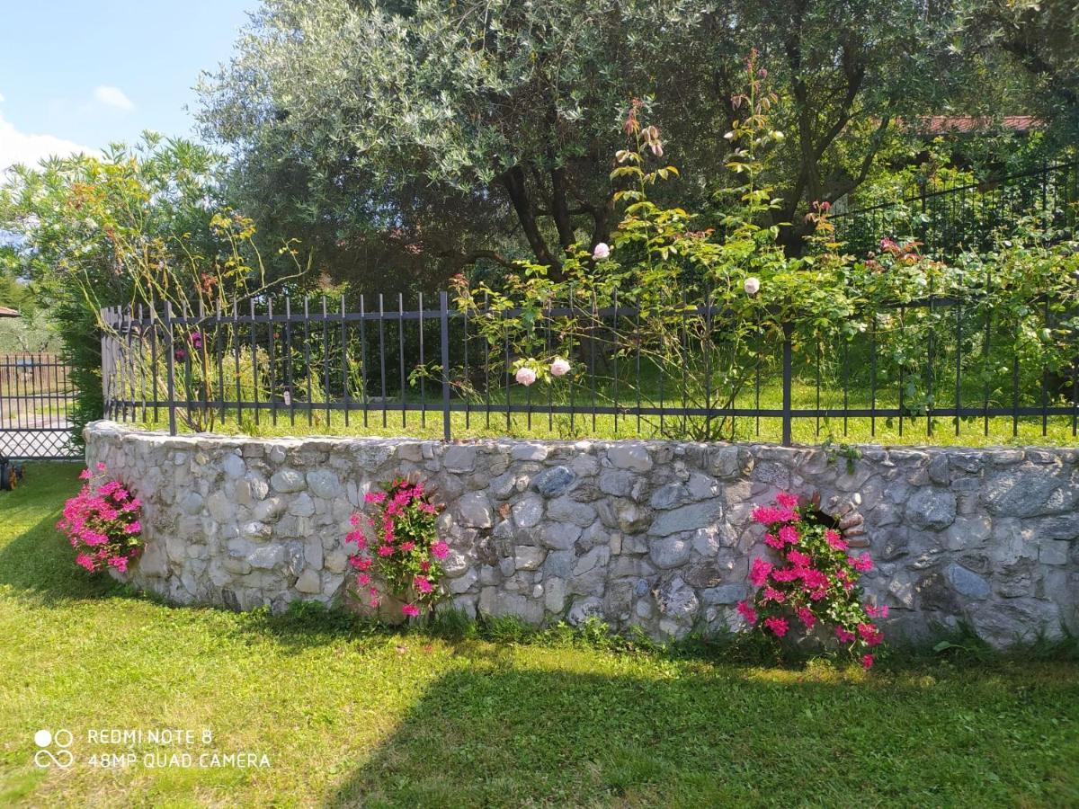 Oliveto Lario Mary Rose Apartments מראה חיצוני תמונה