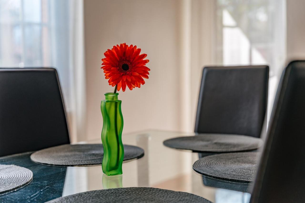 Oliveto Lario Mary Rose Apartments מראה חיצוני תמונה